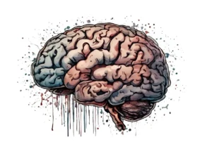 What is thecause of OCDs Cause of OCD cause of OCDs